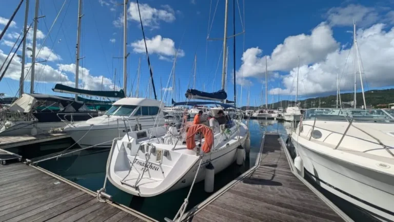 Formule Cours de voile