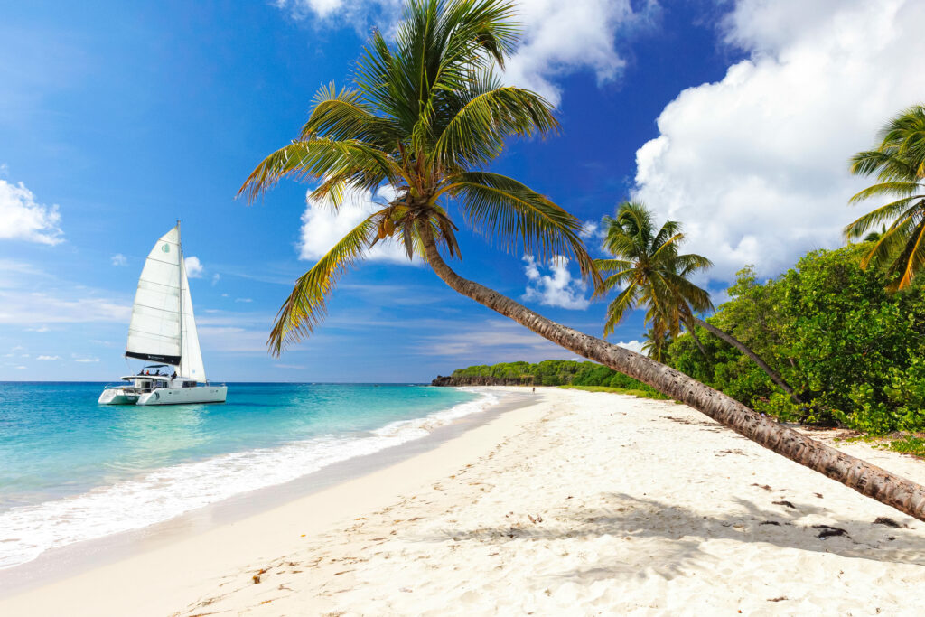 Cocotiers sur une plage de sable blanc, photo de Thibault Desplats.