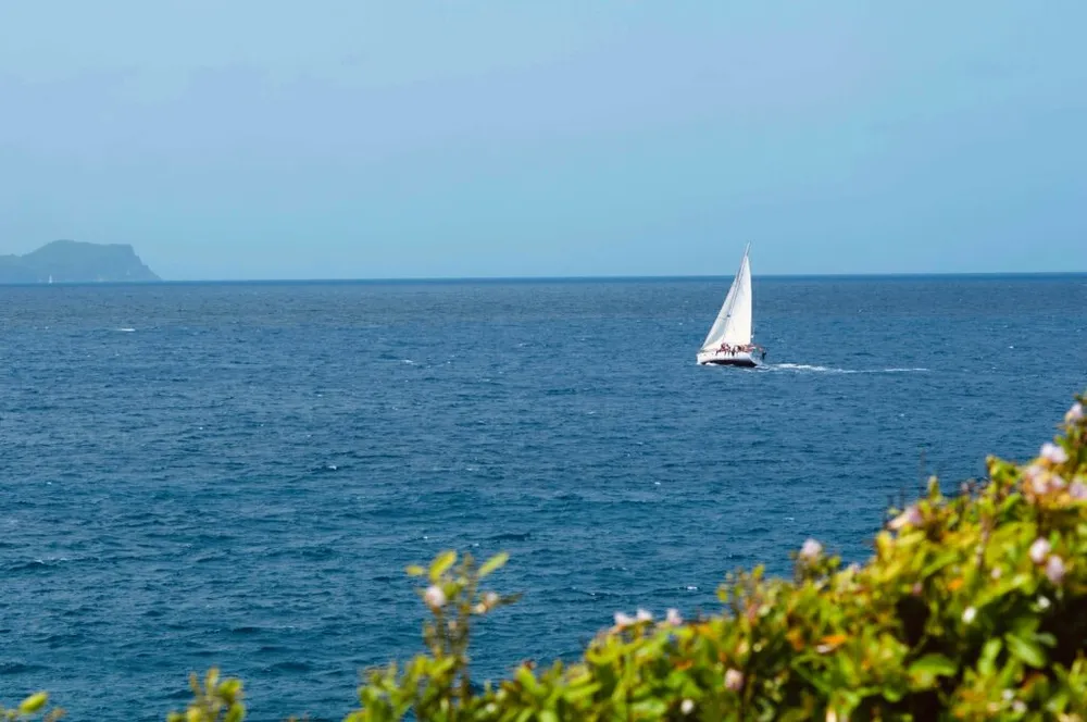 Photo 5 de la galerie