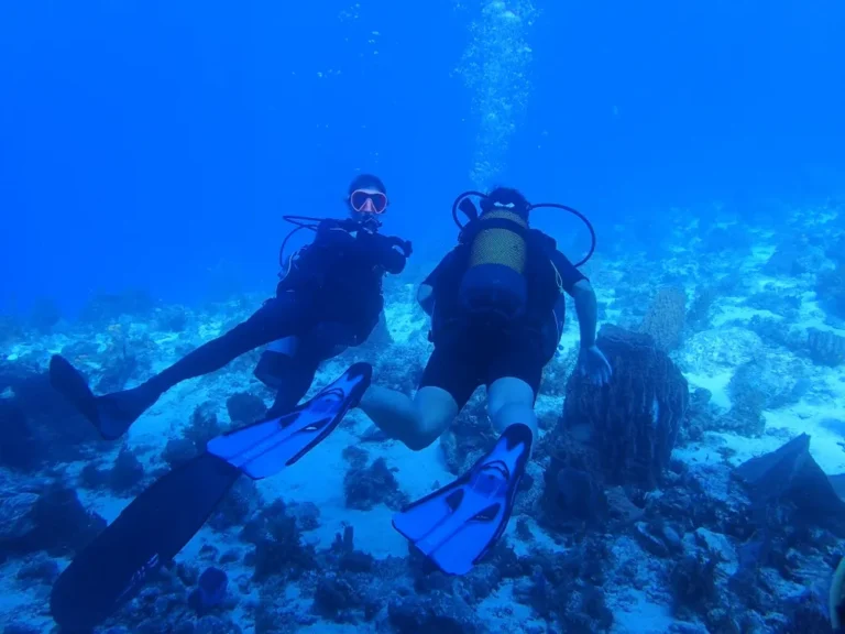 Écobalades 3 Sortie exploration plongée – Formation PADI, SSI, FFESSM