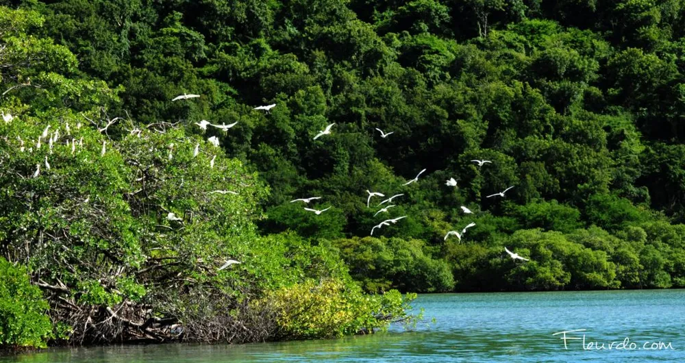 Photo 9 de la galerie