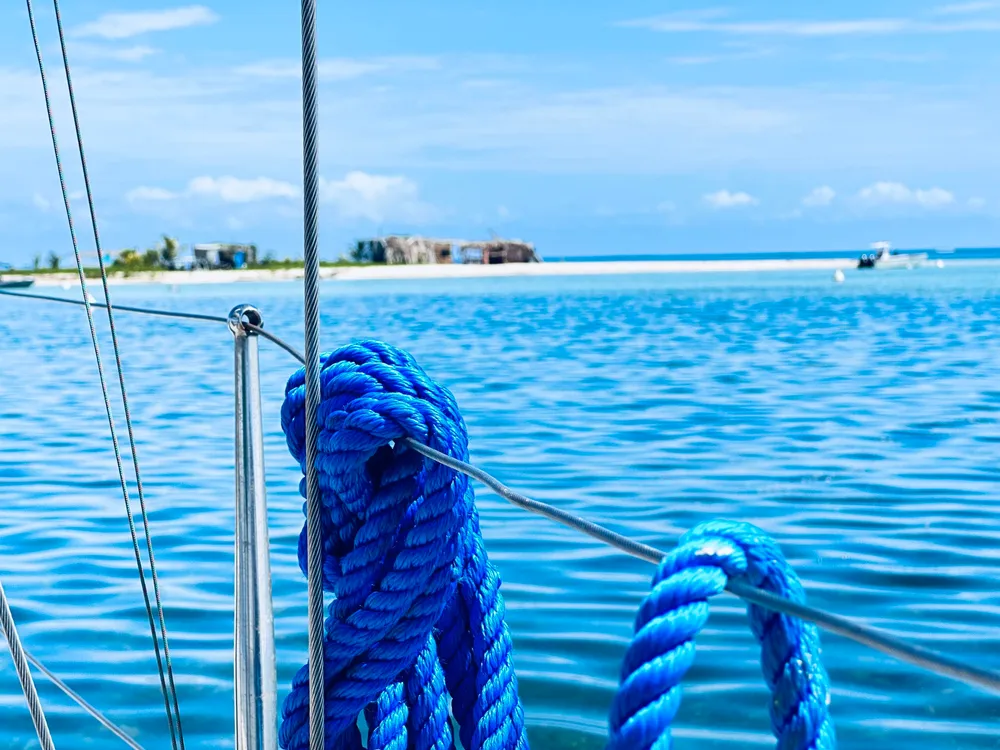 Photo 2 de la galerie