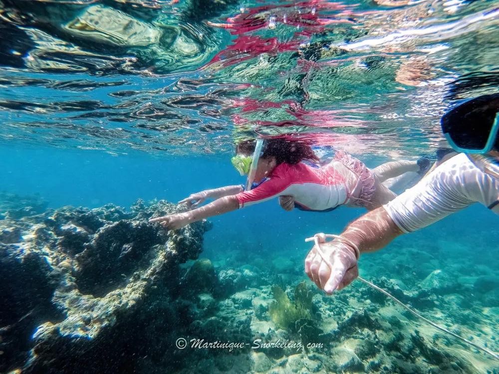 Photo 2 de la galerie