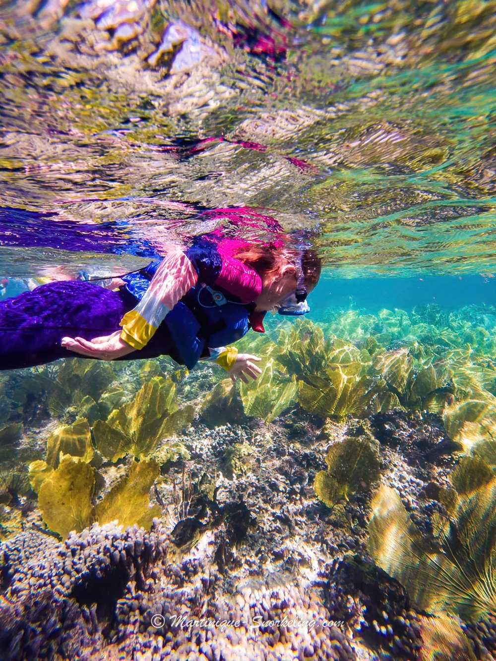 Photo 4 de la galerie