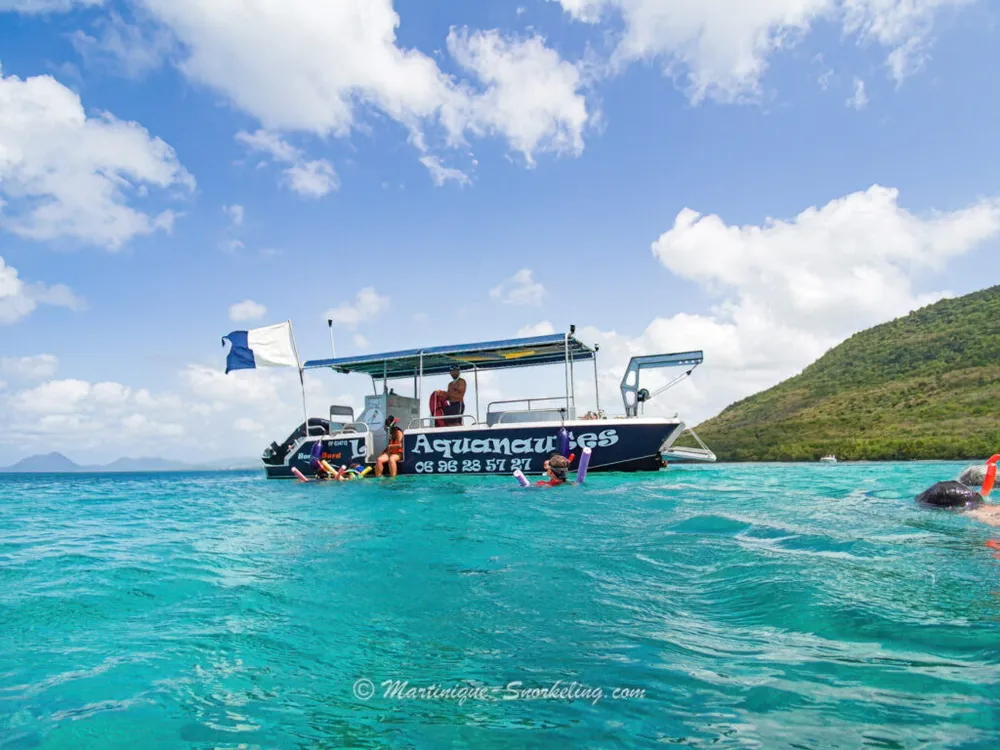 Photo 5 de la galerie