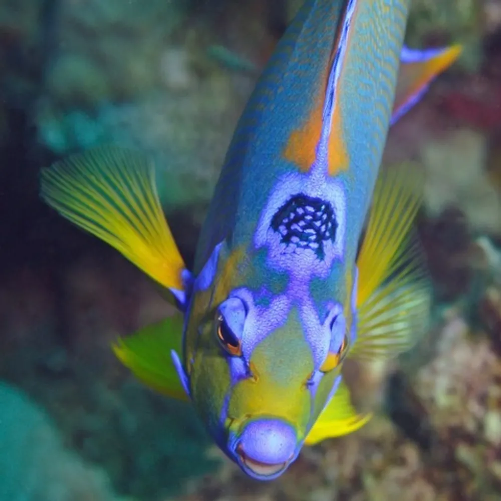 Photo 1 de la galerie