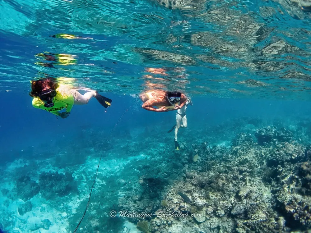 Photo 8 de la galerie