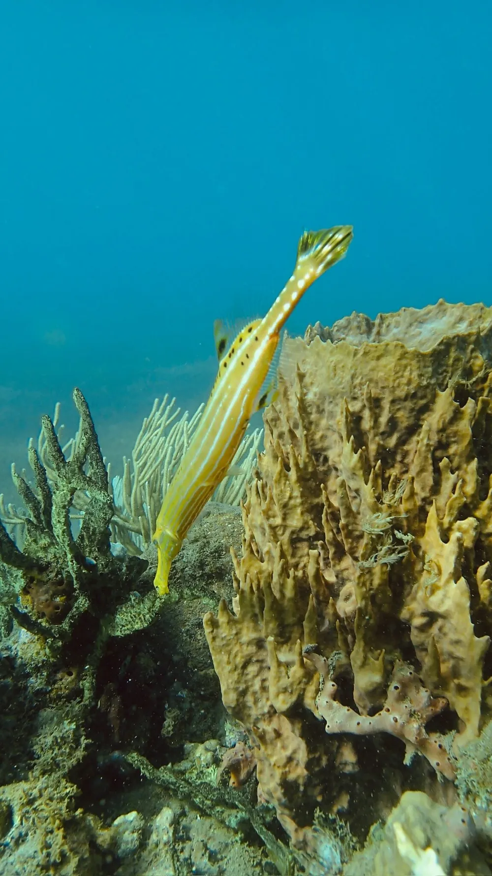 Photo 10 de la galerie