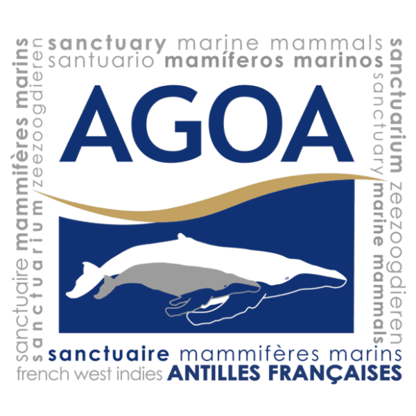 agoa_martinique_logo