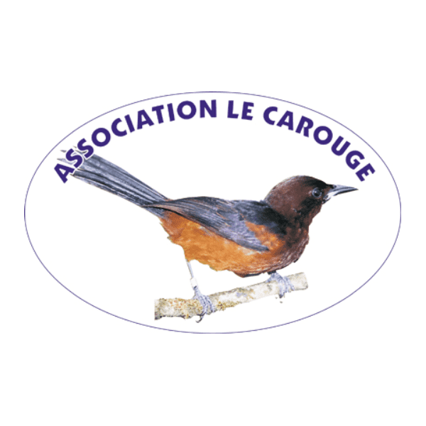 assocation_carouge_martinique_logo_square