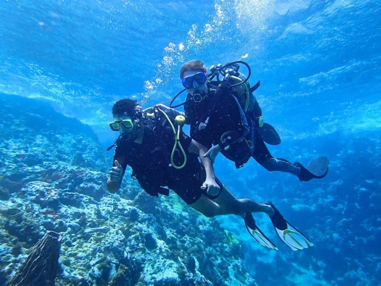 Natiyabel – Centre de plongée et de protection de la nature