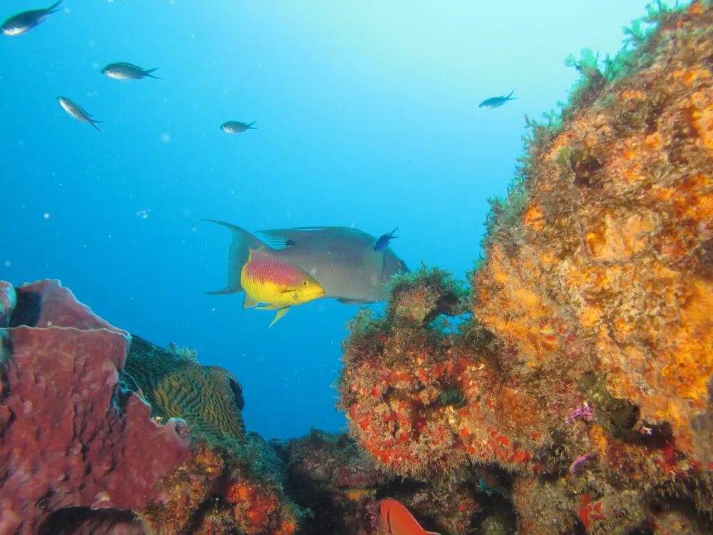 Photo 9 de la galerie