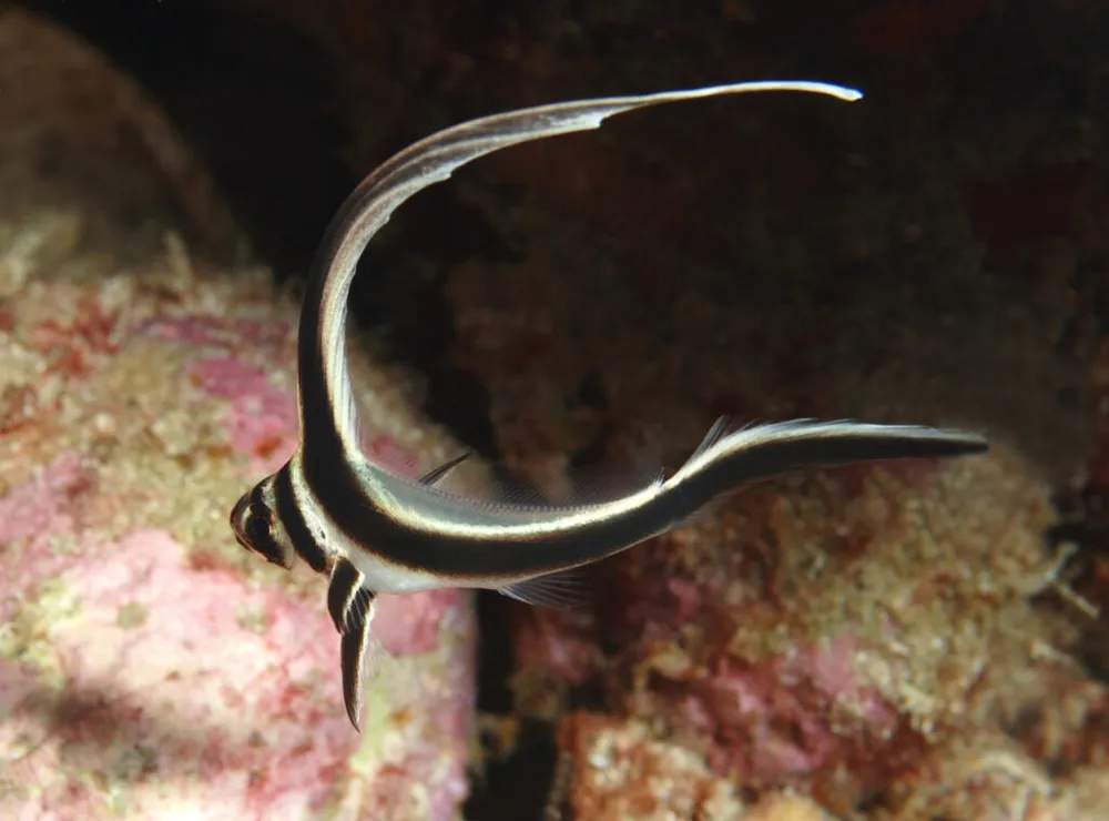 Photo 8 de la galerie