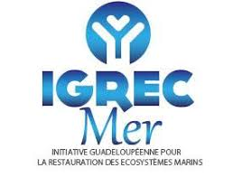 igrec mer