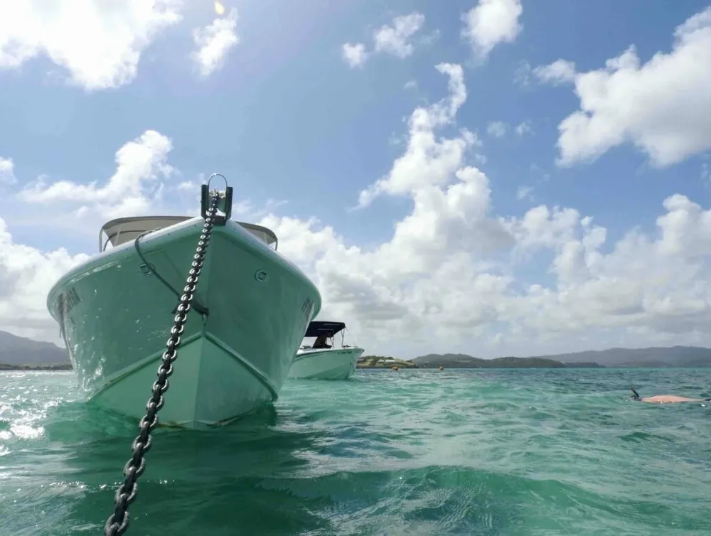 Photo 1 de la galerie