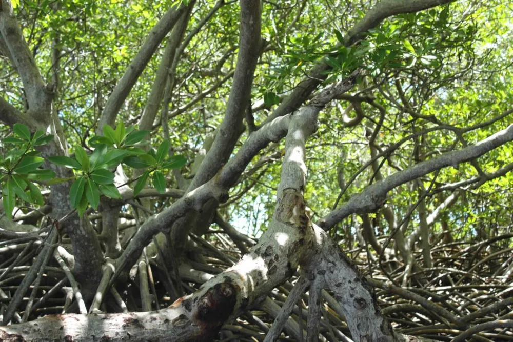 Photo 9 de la galerie