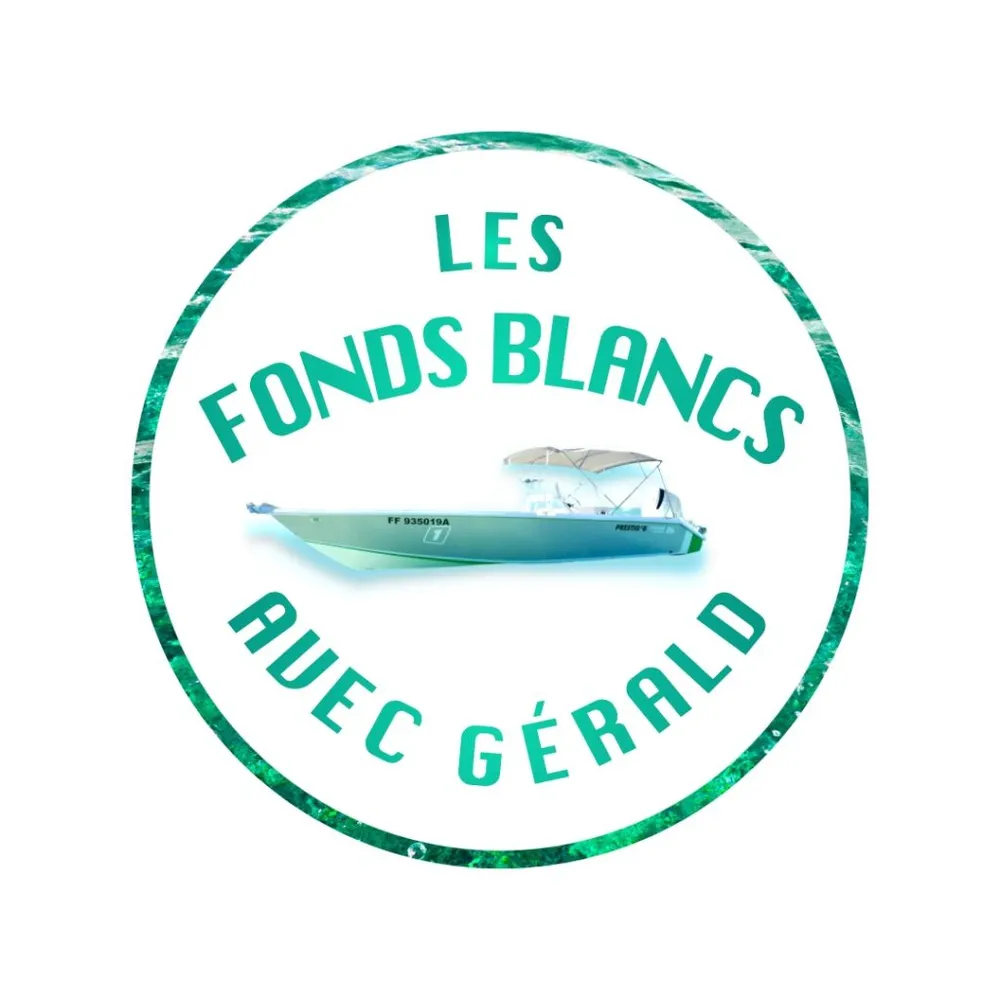 Photo 8 de la galerie