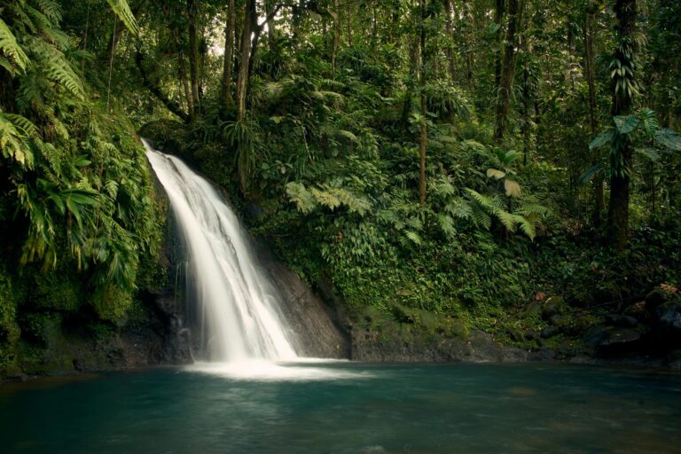 peaceful-waterfall-amidst-vibrant-greenery-in-guadeloupes-rainforest.