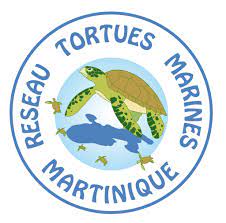 reseau_tortues_marines_martinique_square