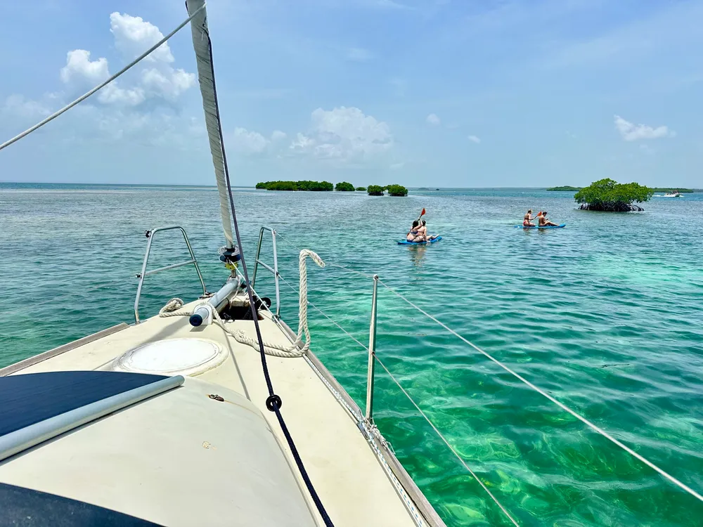 Photo 5 de la galerie