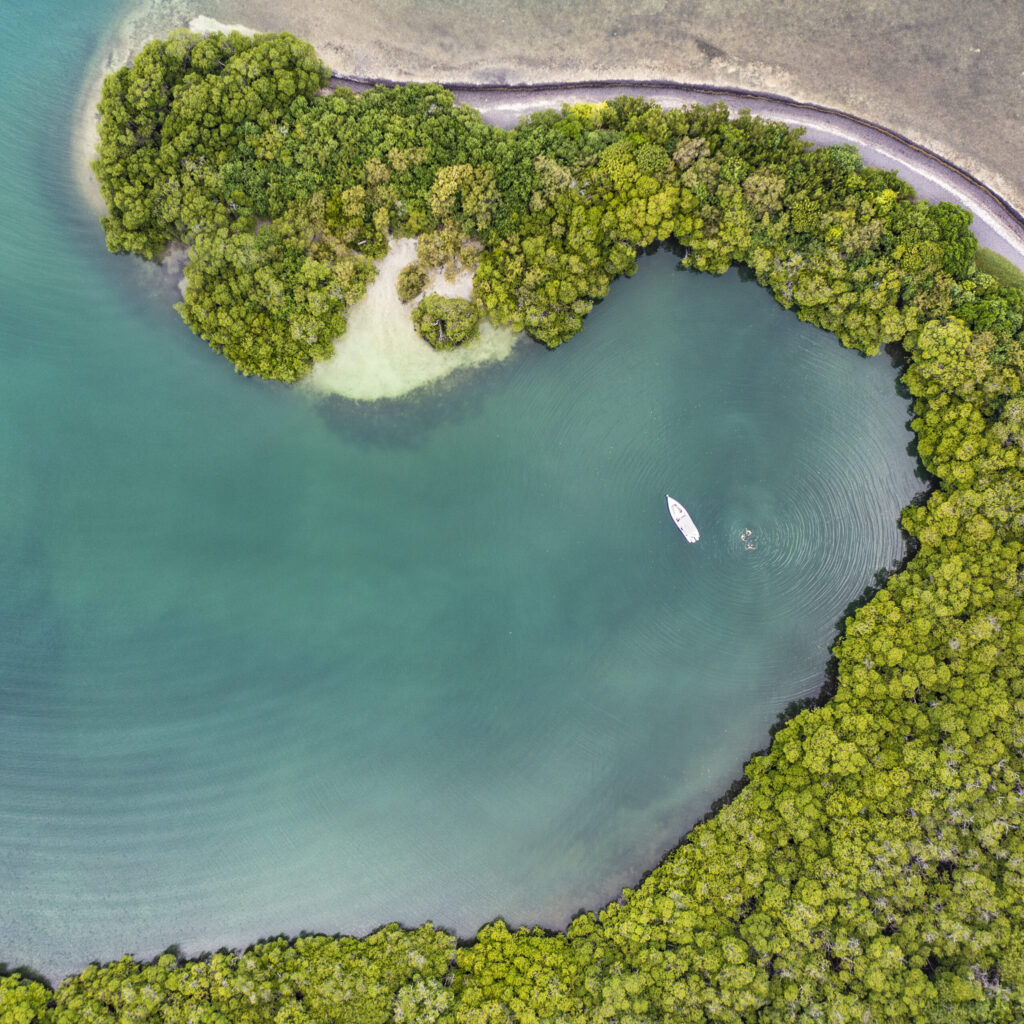 Bateau à moteur raisonné dans une baie calme de mangrove – Voile Nature